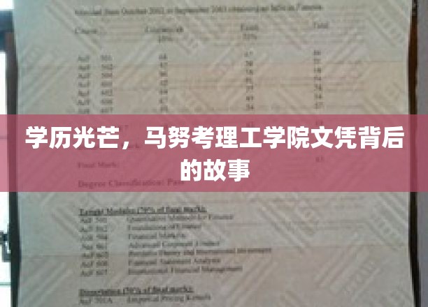 学历光芒，马努考理工学院文凭背后的故事
