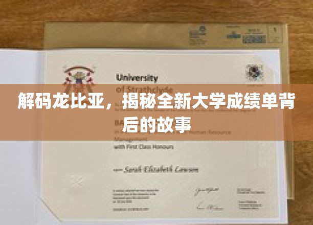 解码龙比亚，揭秘全新大学成绩单背后的故事