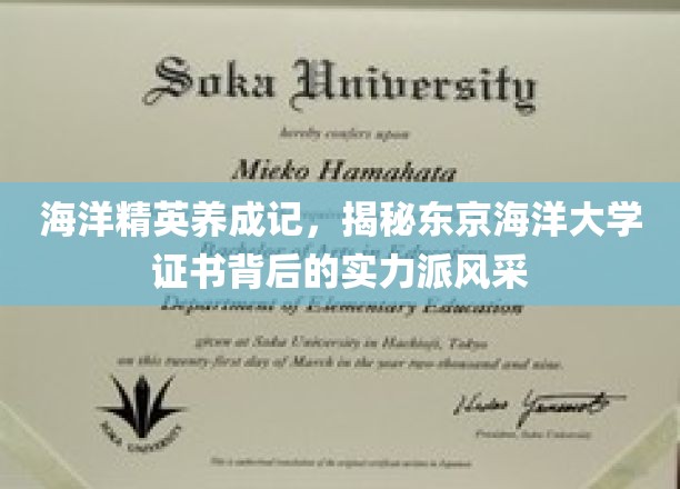 海洋英才摇篮，东京海洋大学证书背后的非凡实力与风采