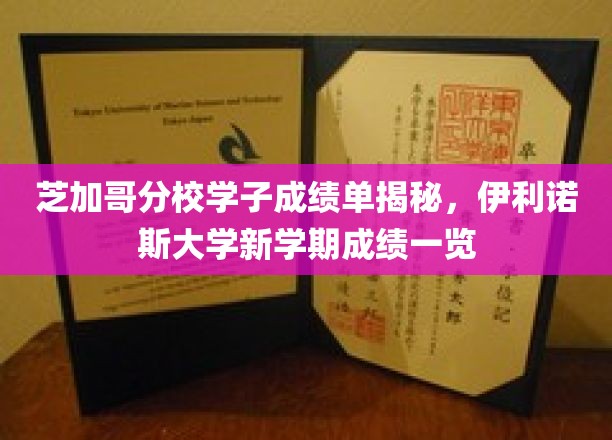 芝加哥分校学子成绩单揭秘，伊利诺伊大学新学期成绩一览