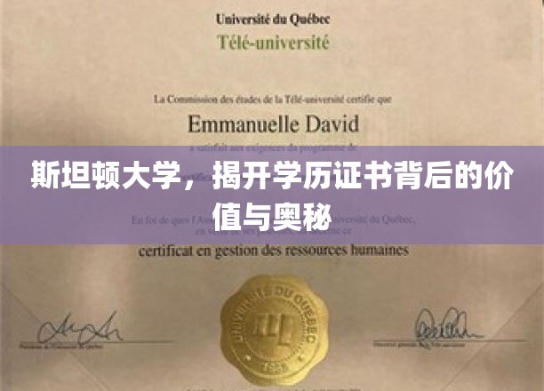 斯坦顿大学，揭开学历证书背后的价值与奥秘