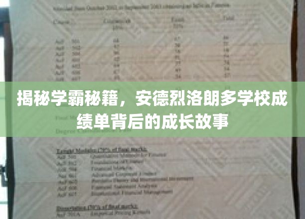揭秘学霸传奇，安德烈洛朗多学校背后的高分奥秘