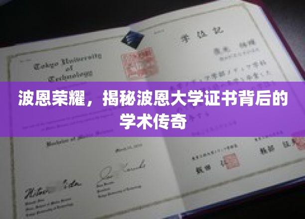 波恩大学证书背后的学术奥秘，波恩荣耀探寻之旅