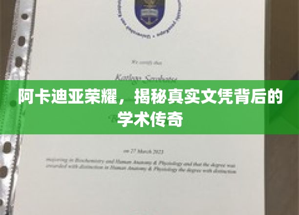 阿卡迪亚荣耀揭秘，文凭背后的非凡学术之旅