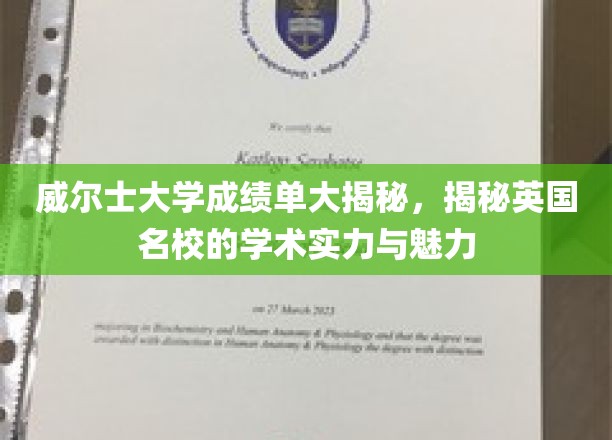 揭秘威尔士大学卓越学术风采，英国名校的魅力与实力一览