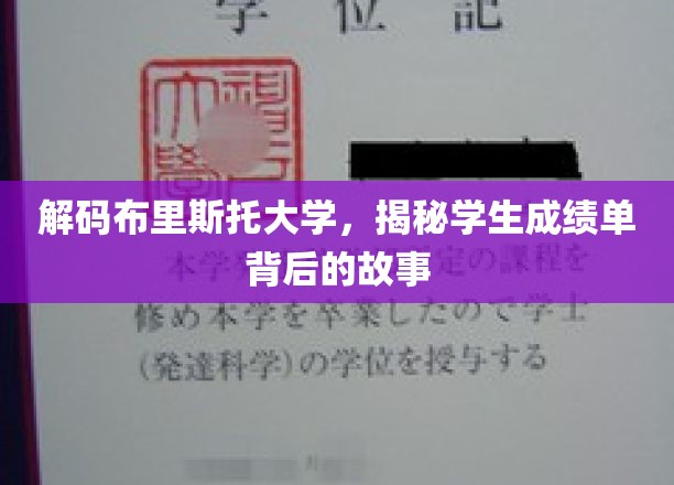 探索布里斯托学子成绩单背后的成长轨迹