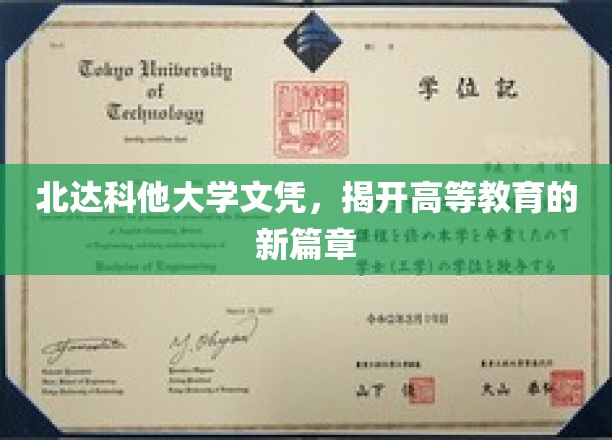 北达科他大学文凭，引领教育创新风潮