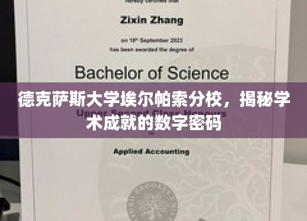 解码德克萨斯大学埃尔帕索分校的学术辉煌之路