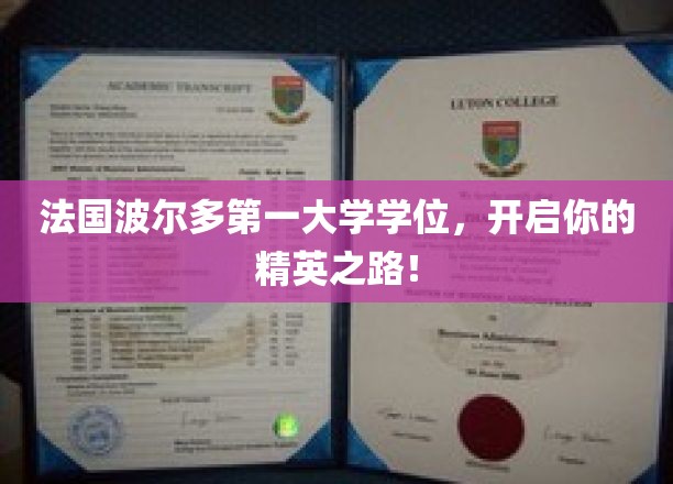 波尔多第一大学学位，引领精英未来启航