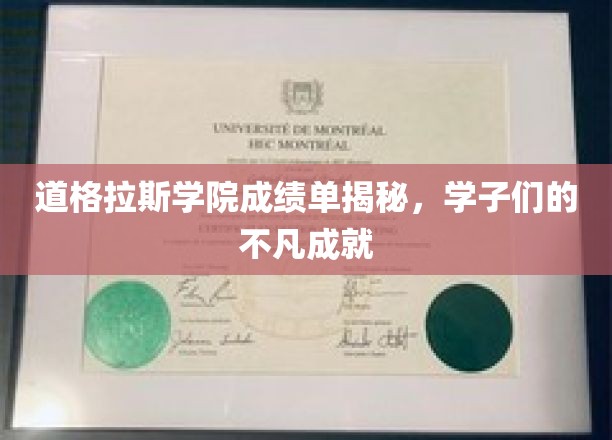 道格拉斯学院学子荣耀，揭秘非凡成绩背后的故事