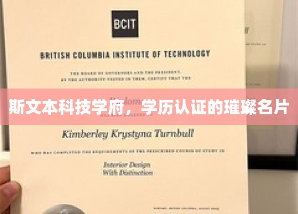 斯文本科技学府，学历认证的璀璨名片