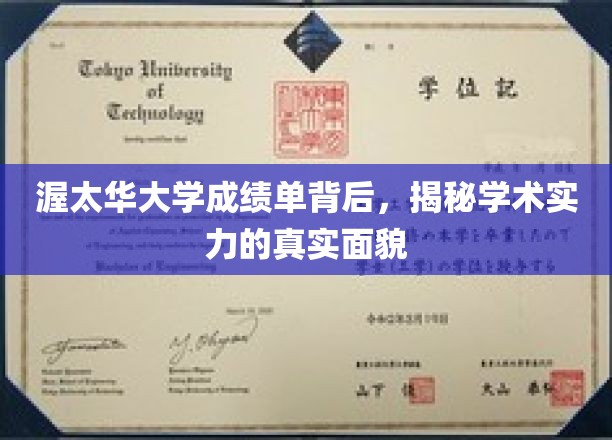 探秘渥太华大学成绩单背后，揭示学术实力的真实面貌