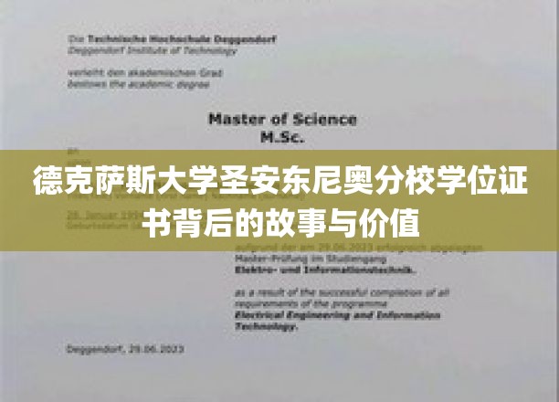 德克萨斯大学圣安东尼奥分校学位证书背后的故事与价值