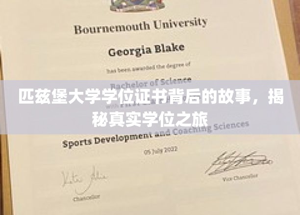 匹兹堡大学学位证背后的传奇，一探究竟的学位征途