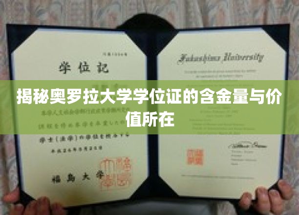 奥罗拉大学学位证，揭秘其背后不容忽视的含金与价值