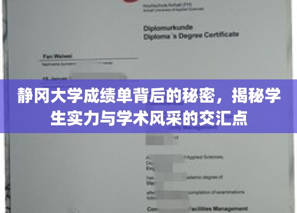 静冈大学成绩单背后的秘密，揭秘学生实力与学术风采的交汇点