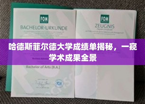 哈德斯菲尔德大学成绩单揭秘，一窥学术成果全景