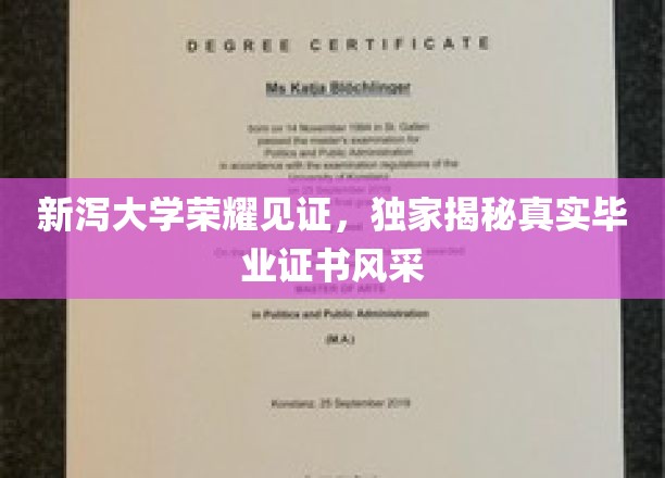 新泻大学荣耀见证，独家揭秘真实毕业证书风采