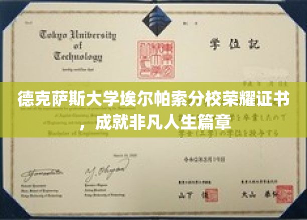德克萨斯大学埃尔帕索分校荣耀证书，开启非凡人生篇章