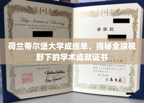 跨国视野下的荷兰蒂尔堡大学，探索国际学术成就的证书奥秘