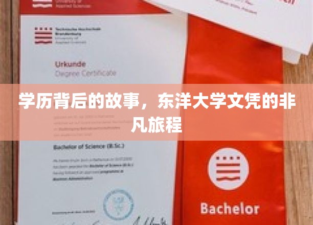学历背后的故事，东洋大学文凭的非凡旅程