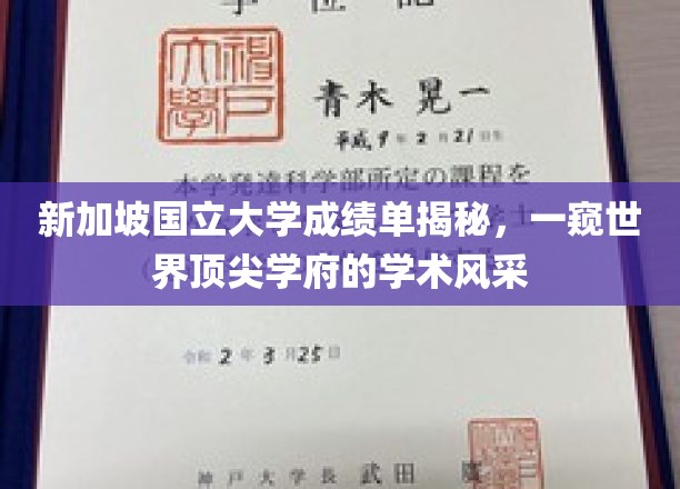 新加坡国立大学成绩单大揭秘，揭秘世界级学府的学术魅力