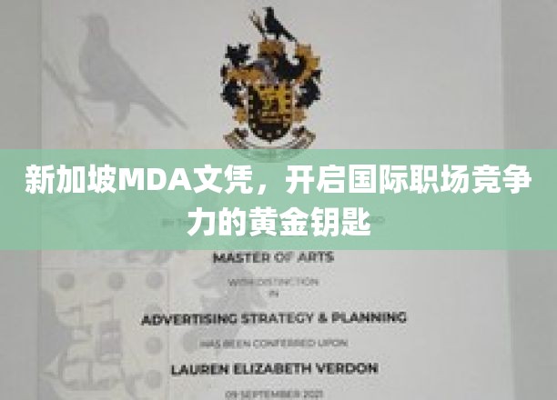 新加坡MDA学历，助你轻松解锁全球职场精英之路