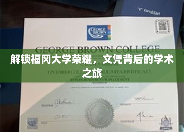 解锁福冈大学荣耀，文凭背后的学术之旅