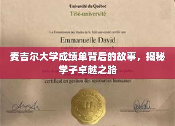 麦吉尔大学成绩单背后的故事,揭秘学子卓越之路