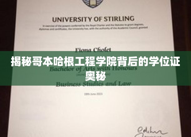 解码哥本哈根工程学院，学位证的非凡之旅