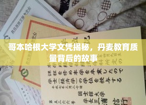 哥本哈根大学文凭揭秘，丹麦教育质量背后的故事