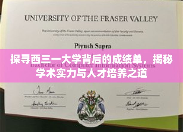 解码西三一大学，卓越学术与育才秘籍大揭秘