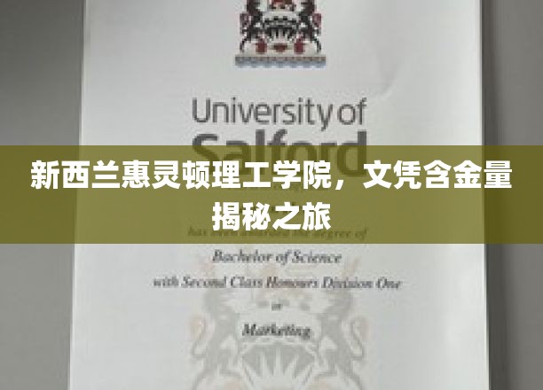 探索新西兰惠灵顿理工学院，揭秘高含金量文凭的背后