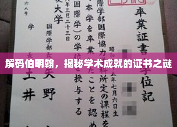 探寻伯明翰智慧宝藏，证书背后的学术传奇