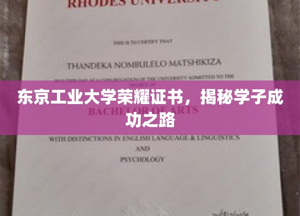 解码东京工业大学荣耀，学子成就背后的神秘路径