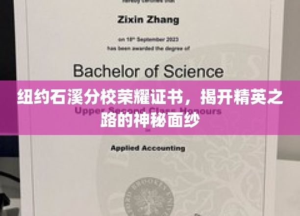 纽约石溪分校荣耀证书，揭开精英之路的神秘面纱