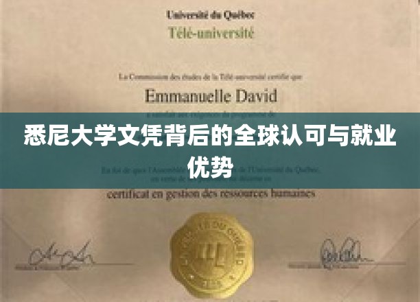 国际通行证，揭秘悉尼大学文凭的全球认可与职场魅力