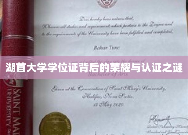 湖首大学学位证背后的荣耀与认证之谜