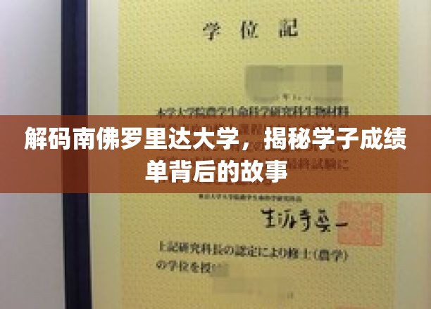 探寻南佛罗里达大学学霸背后的神秘力量