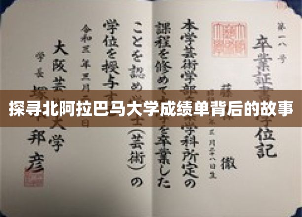 北阿拉巴马大学成绩单，揭开学术旅程的神秘面纱