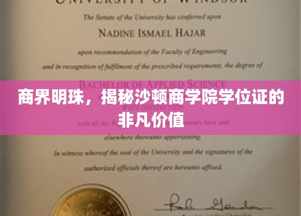 沙顿商学院学位证，商界精英的璀璨通行证