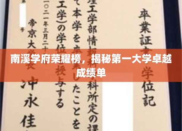 南溪学府荣耀巅峰，探秘顶尖大学非凡成就