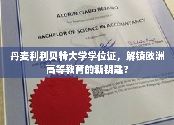 丹麦利利贝特大学学位证，解锁欧洲高等教育的新钥匙？