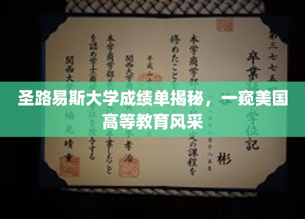 探寻圣路易斯大学真实成绩单，美国高等教育魅力的深度解析