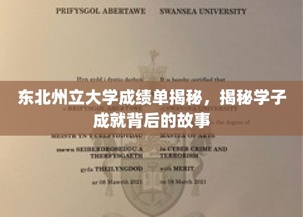 东北州立大学学子风采，揭秘他们背后的辉煌成就