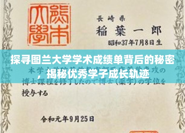揭开图兰大学精英学子成绩单之谜，探寻卓越成长之路