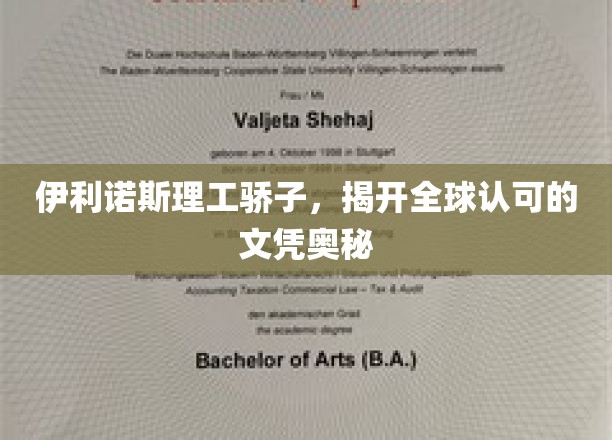 伊利诺斯理工精英揭秘，国际认可的文凭背后的传奇故事