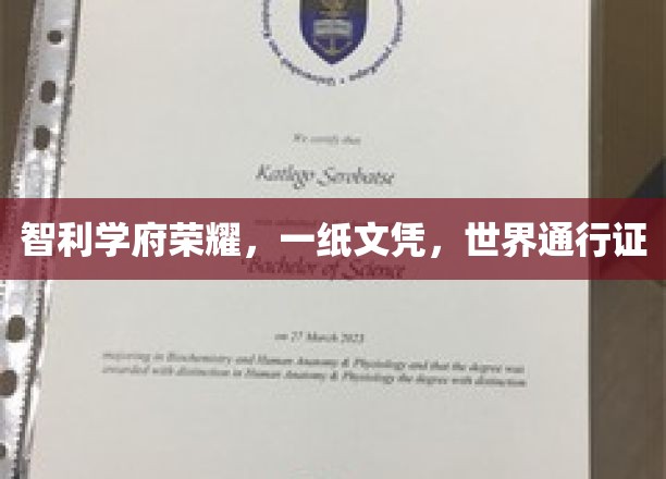 南美明珠学府，一纸通行全球，智利文凭闪耀荣耀之路