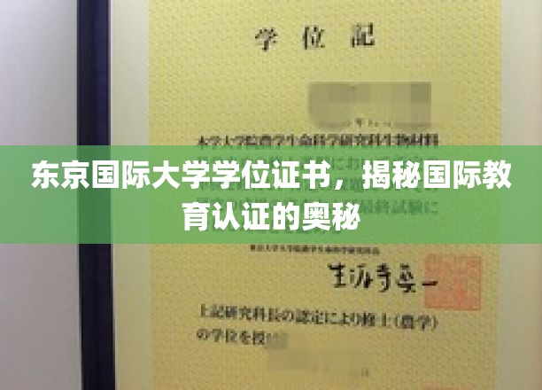 探索东京国际大学证书背后的国际教育认证秘密