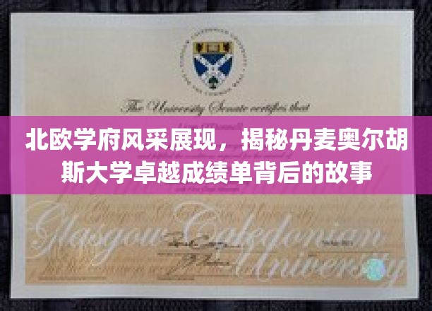 丹麦奥尔胡斯大学，北欧之光，揭秘卓越成绩背后的北欧教育奥秘